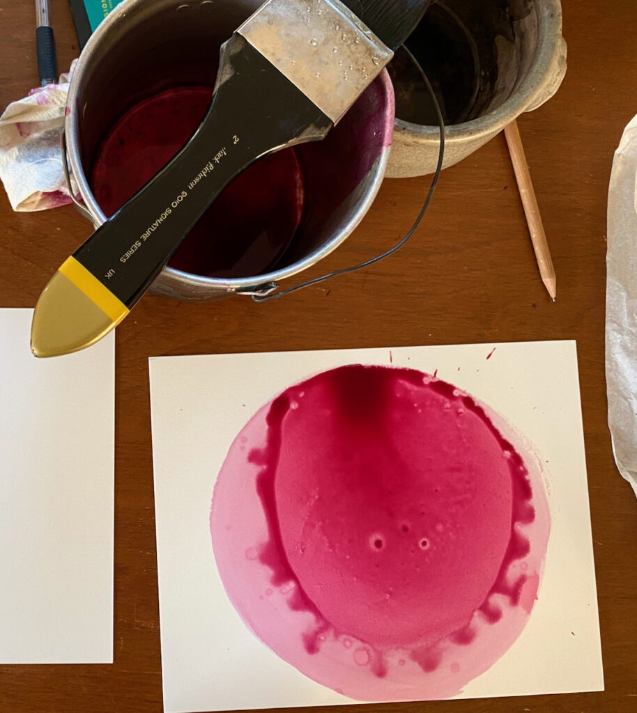 A photograph showing emulsion making as part of the photodynamic garden